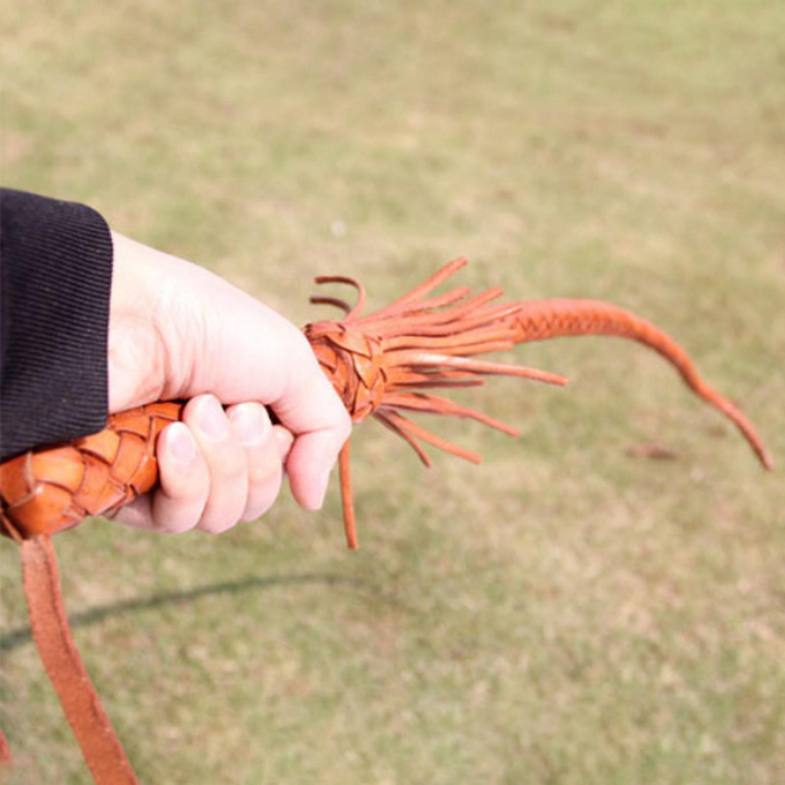 Outdoor PU Leather Horse Ridin - Riding Crop Dressage ulasan dan harga