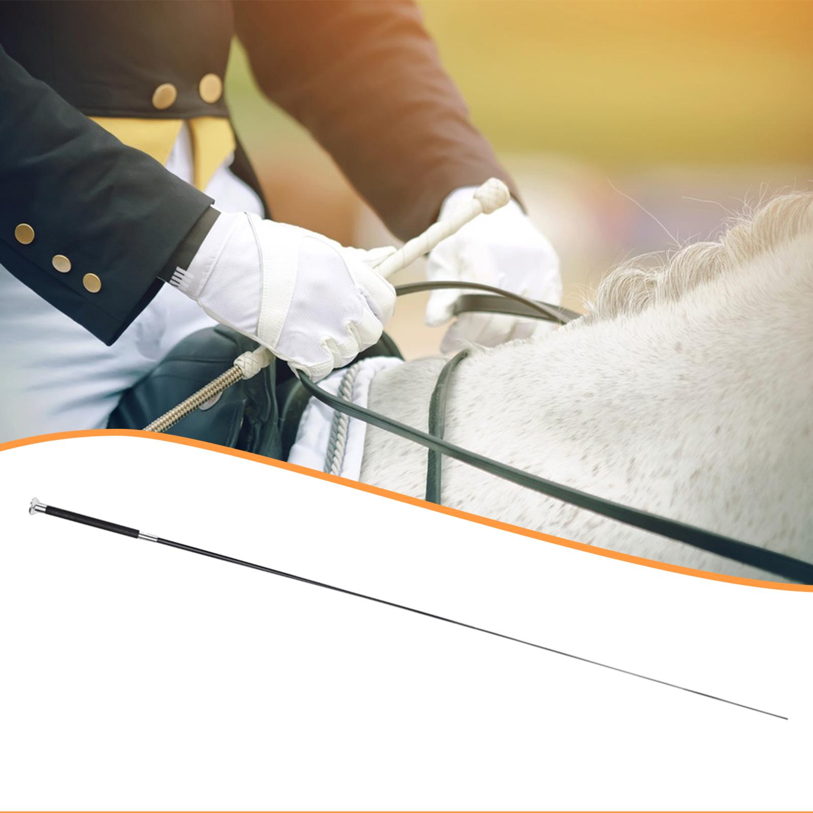 Equestrian Riding Crop Telesco - Riding Crop Dressage ulasan dan harga